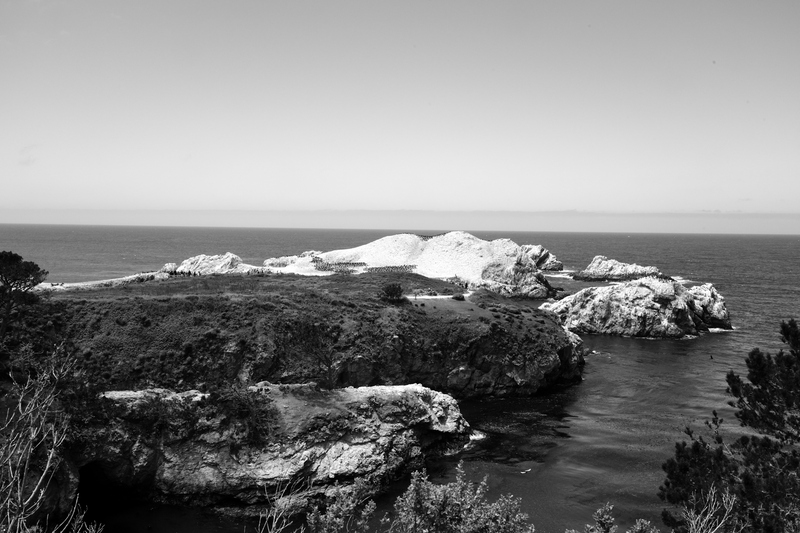 Out To Sea.jpg