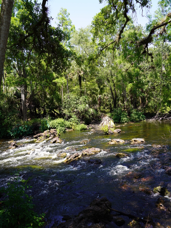 River In Motion.jpg