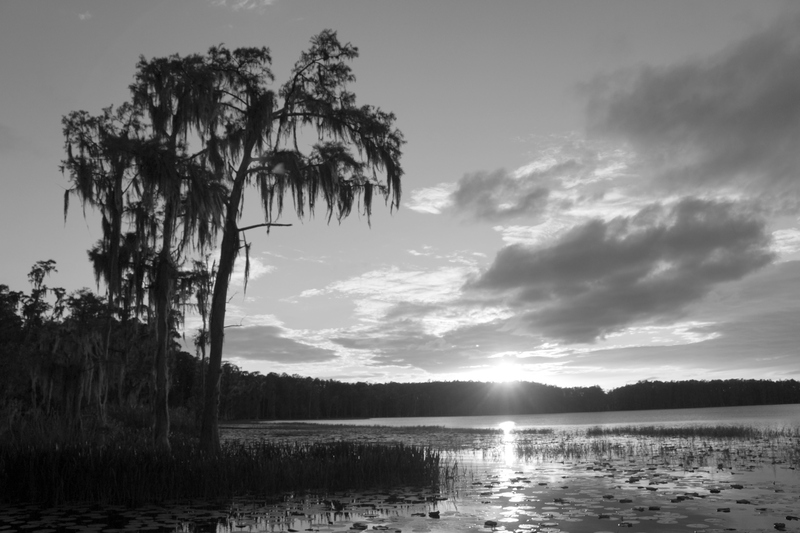 Sunset at the Lake.jpg
