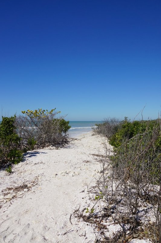 The Beach Path.jpg