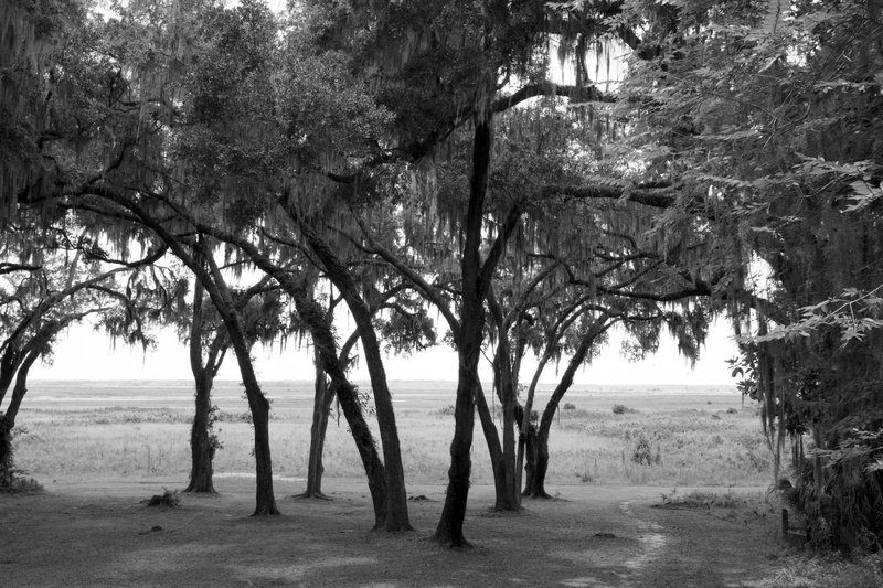 The Grove.jpg