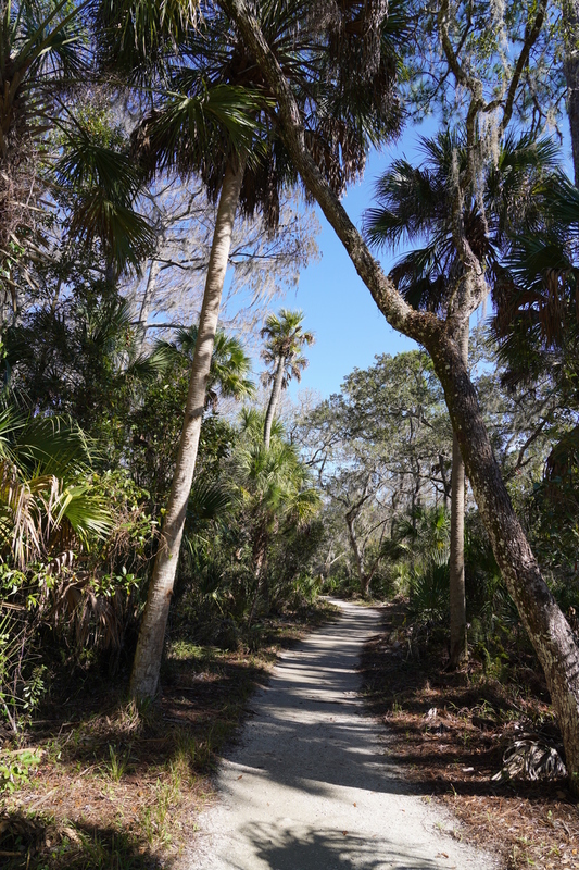 The Real Florida.jpg