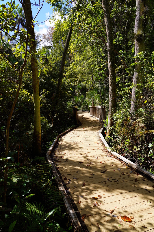 Walking In The Light.jpg