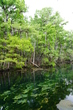 Crear Blue Pools.jpg