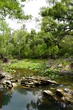 Peacock Springs.jpg