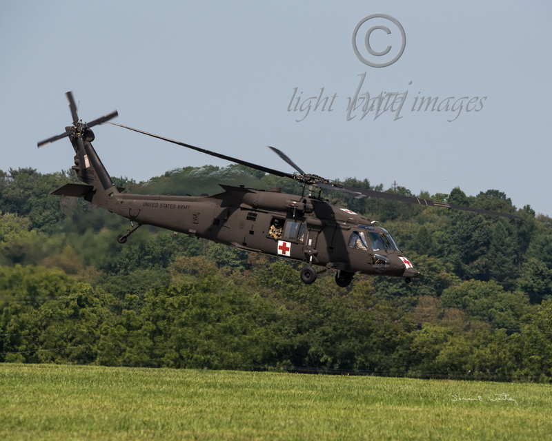 Blackhawk in Weeds Web(1).jpg