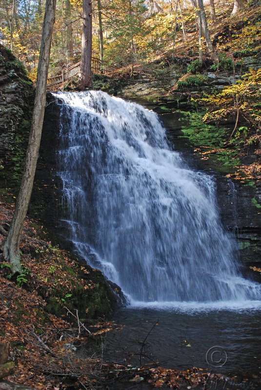 Bushkill falls vertical.jpg