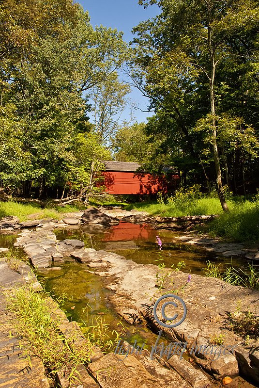 Cabin Run Summer Reflection.jpg :: Cabin Run Summer Reflection