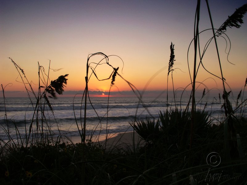 Cape Canaveral silhouette.jpg :: Cape Canaveral Sunrise Silhouette