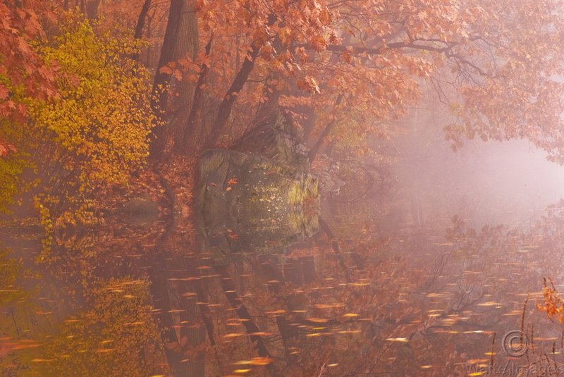 Delaware Canal in fall.jpg :: Fall Leaves reflecting on the Delaware Canal