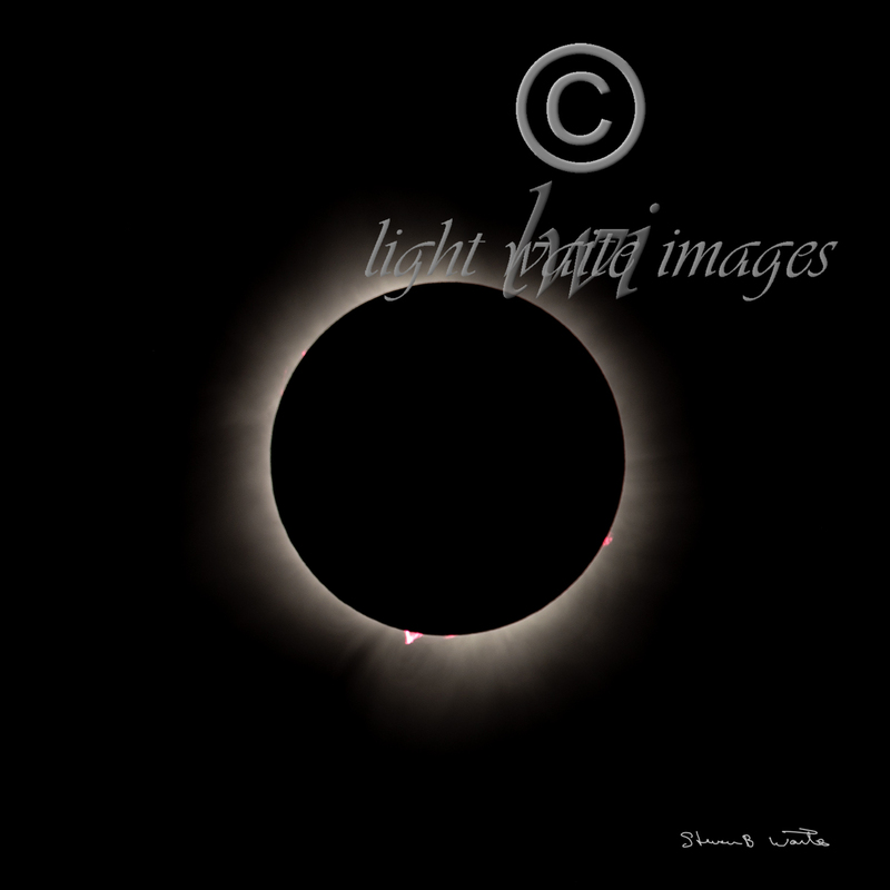Full Eclipse 12x12 FB.jpg
