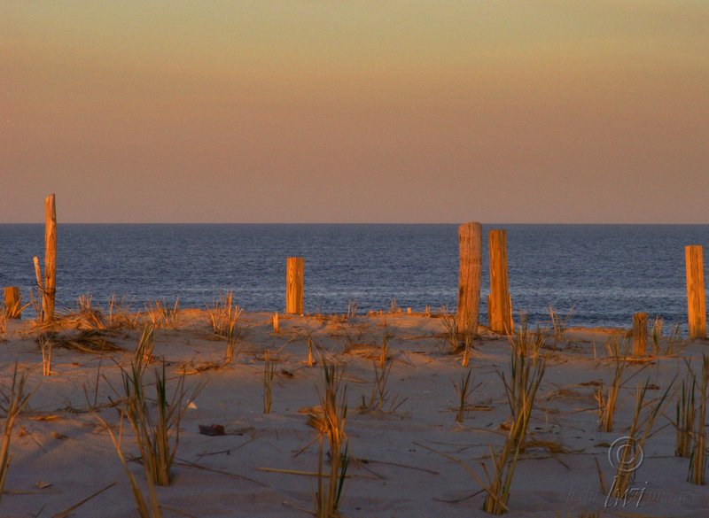 Island Beach Dusk.jpg