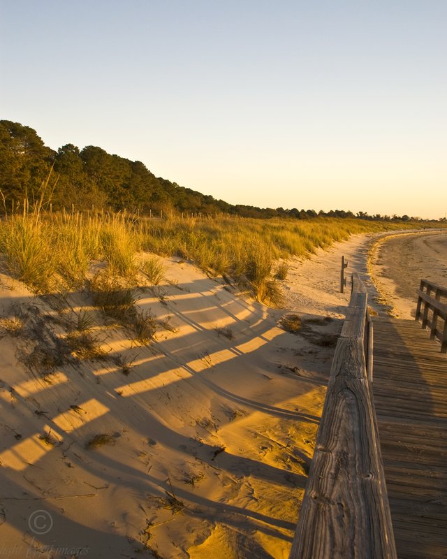Kiptopeke Fence Line.jpg