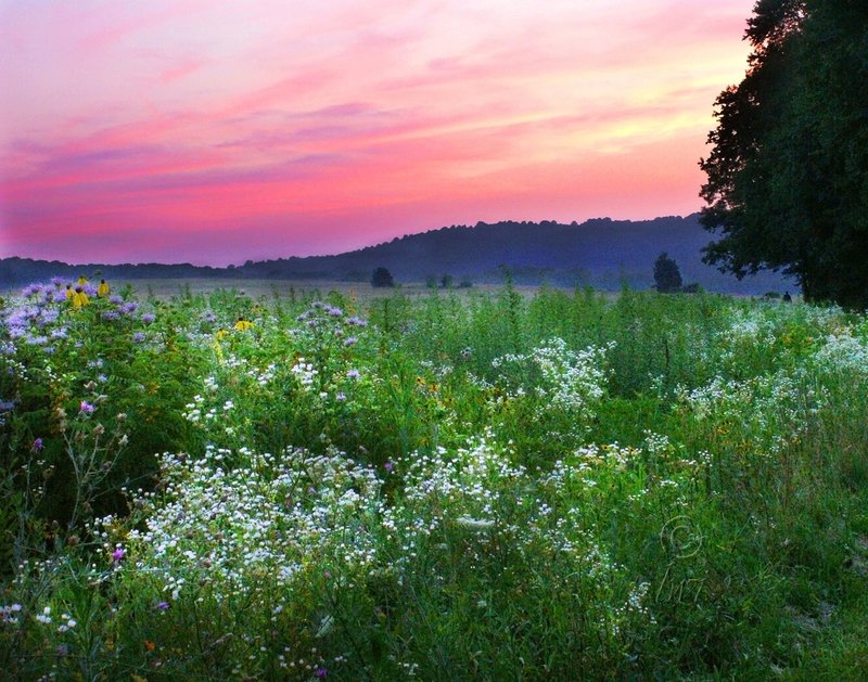 Middlecreek sunset.jpg