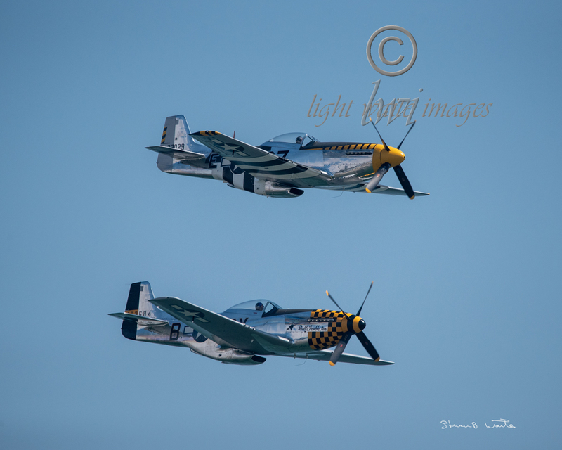 Mustang Pair FB.jpg