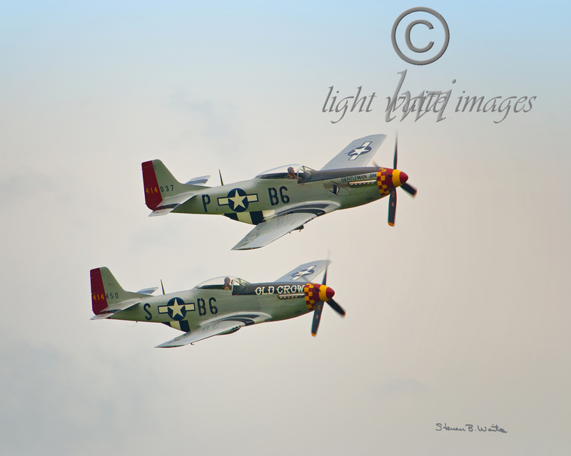 Mustang Pair_8x10-1FB.jpg