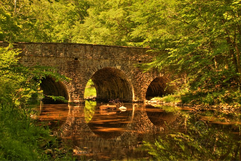 Pidcocks Creek Bridge.jpg :: Pidcock's Creek Bridge