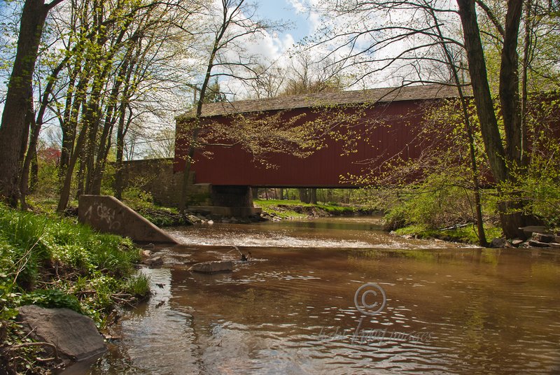 Pine Valley Covered Bridge in summer.jpg