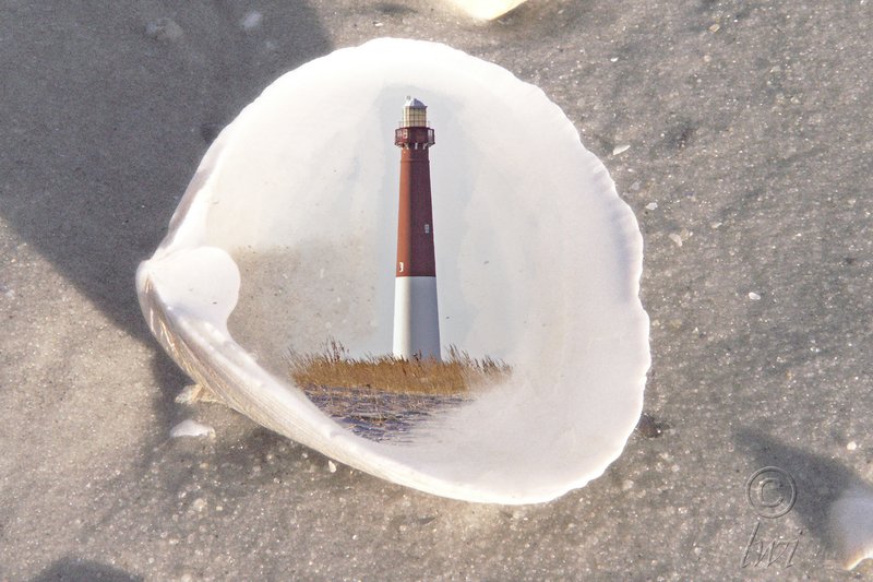 Seashell Light.jpg