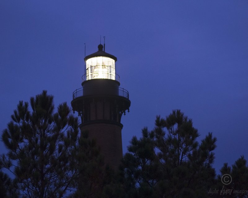 Shining in the Night.jpg