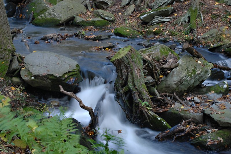 Silk green moss creek.jpg