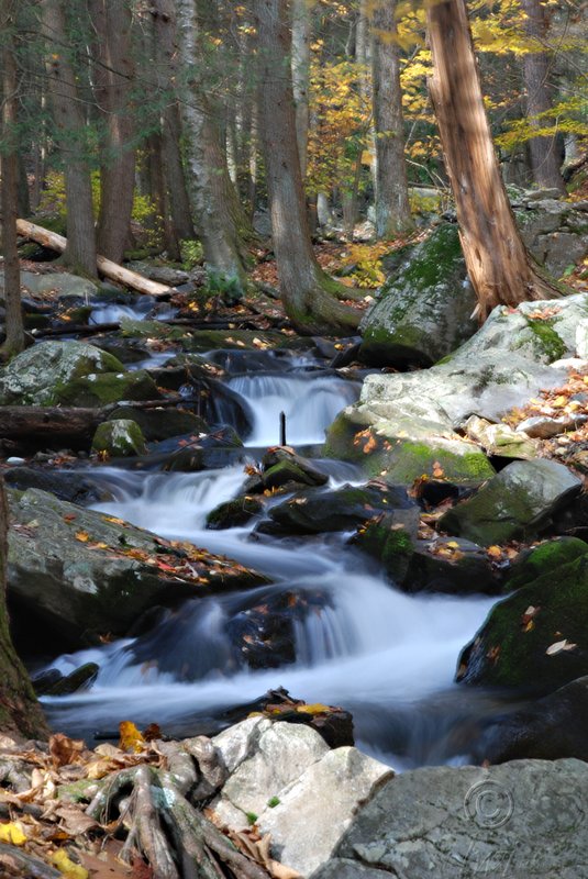 Smooth Zig Zag Creek.jpg