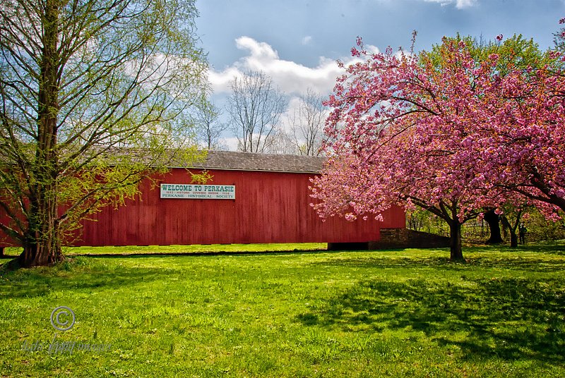 South-Perkasie-Spring.jpg