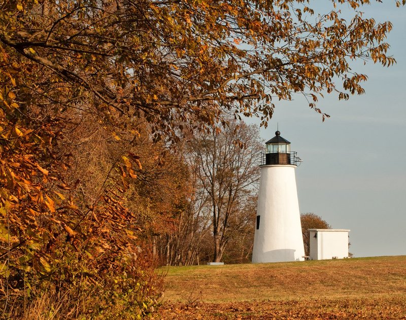 Turkey Point Landscape web.jpg