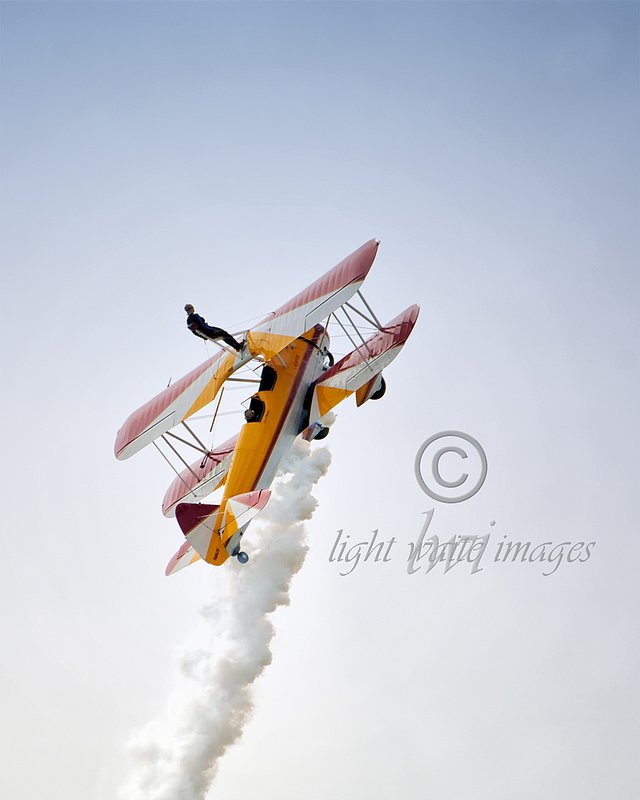 Wing Walker.jpg :: In memoriam - Jane Wicker - Wing Walker