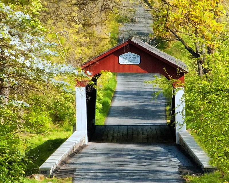 van sant landscape no signs.jpg