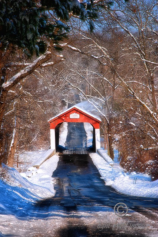 van-sant-bridge-blowing-sno.jpg