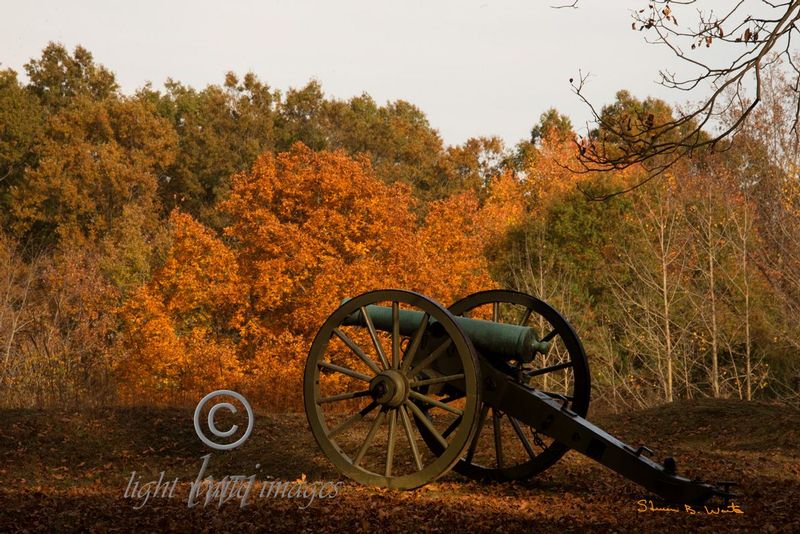 Cannon in Fall Colors.jpg
