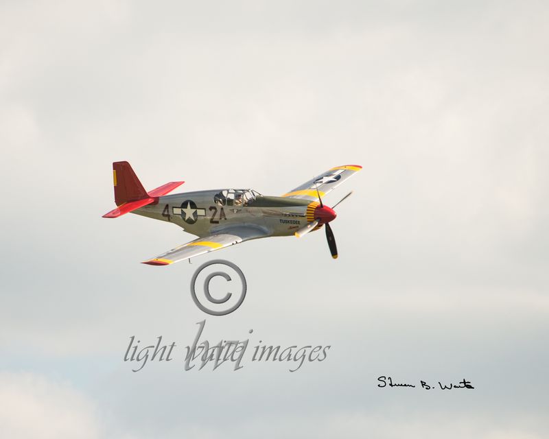 P-51C.jpg :: P51-C Tuskegee Airman