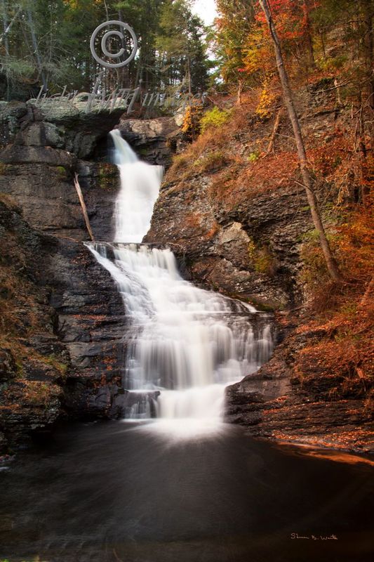Raymondskill Falls.jpg :: Raymondskill Falls