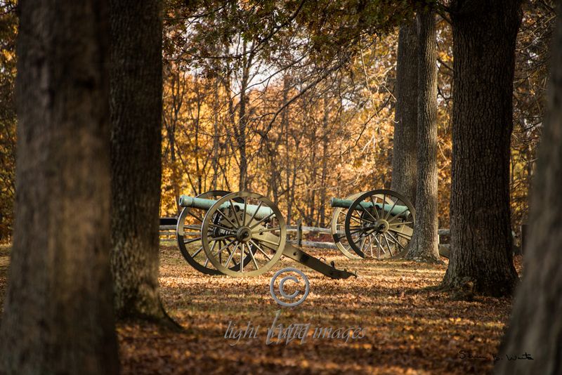 Twin Cannon Amongst the  Trees.jpg