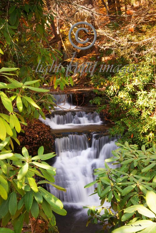 Upper Dingmans.jpg :: Upper Dingmans 