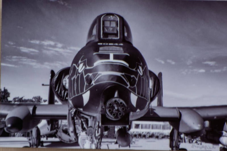 A-10 Snake.jpg