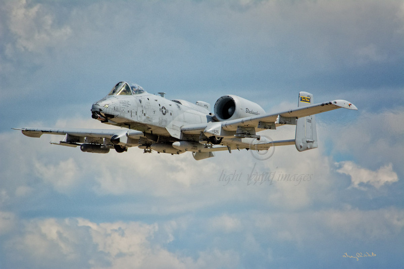 A10 Warthog.jpg :: A10 Warthog - Oshkosh
