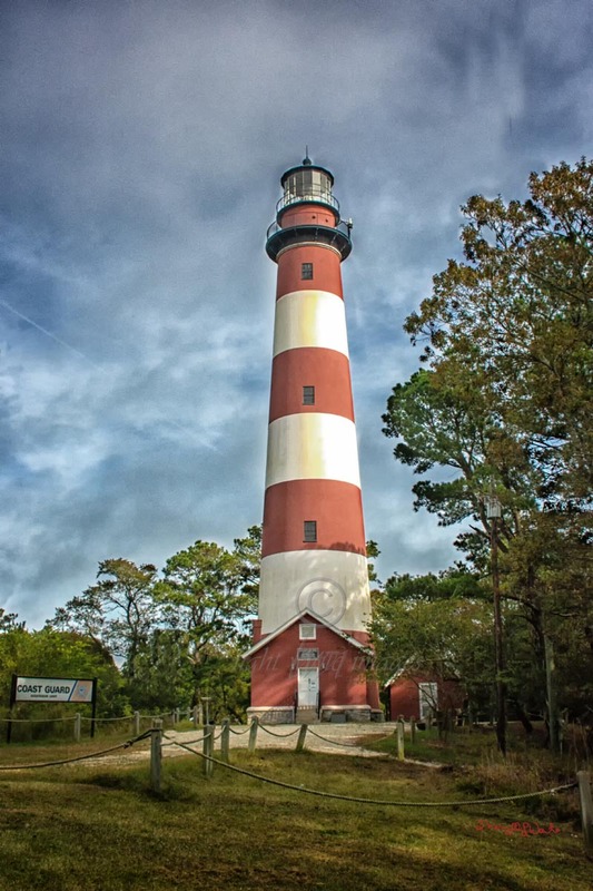Assateague Lighthouse.jpg :: Assateague Lighthouse