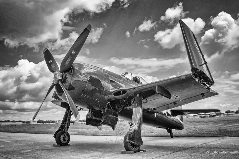 Bearcat - BW.jpg