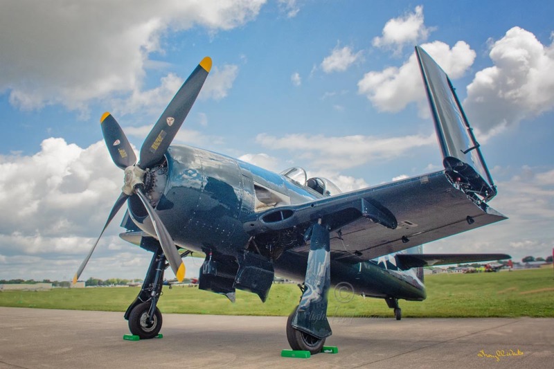 Bearcat - color.jpg