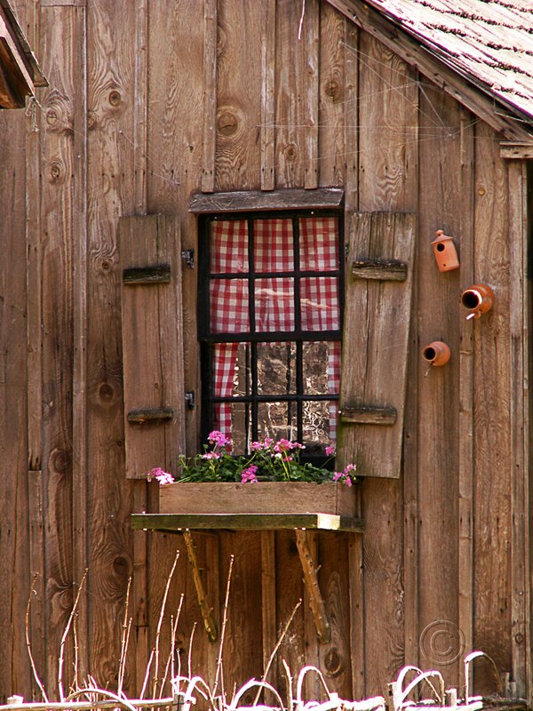 Cuttalossa Cottage Window.jpg
