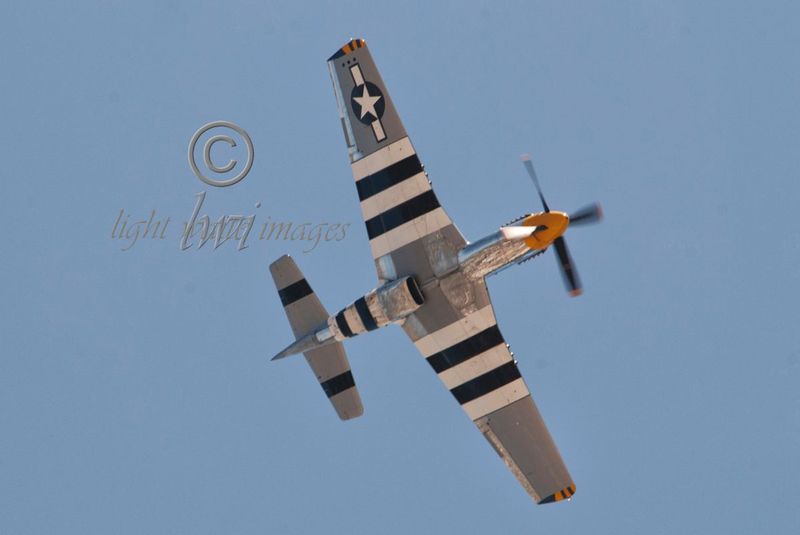 P-51 Bald Eagle Bottom View.jpg