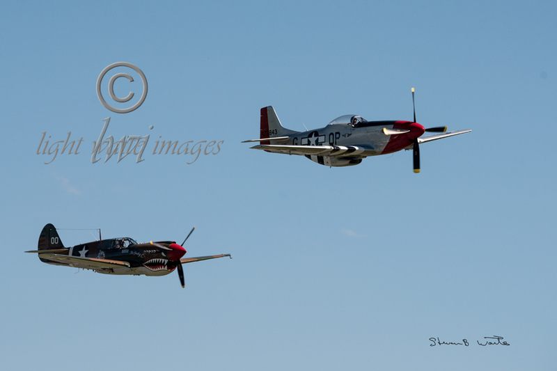 P-51 P-40.jpg