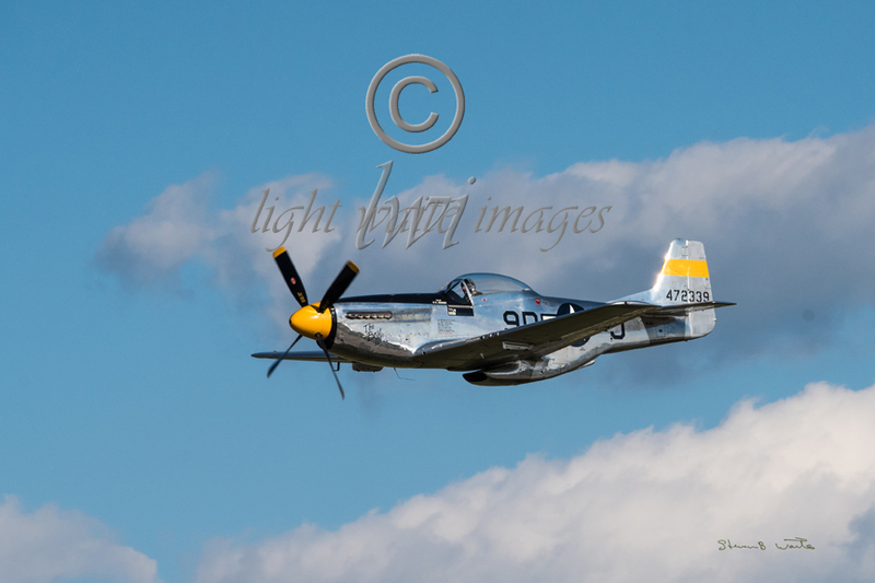 P-51 The Brat.jpg
