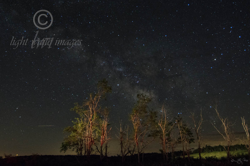 Skyline Drive Milky Way Treeline.jpg