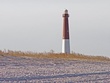 Barnegat Dune.jpg