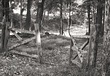 Broken Fence website.jpg