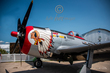 P-47 Chief SKI-U-Man FB.jpg