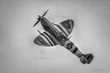 Spitfire.jpg